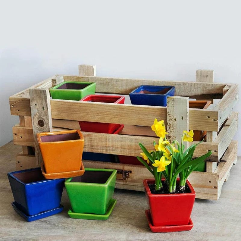 Garden Terrace Small Brights Crate Set of 16 - Outdoor Art Pros