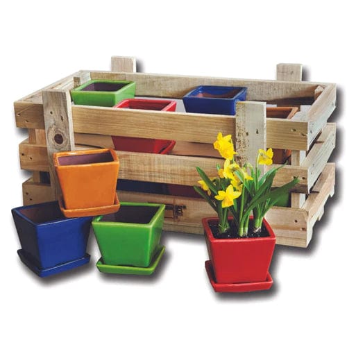 Garden Terrace Small Brights Crate Set of 16 - Outdoor Art Pros