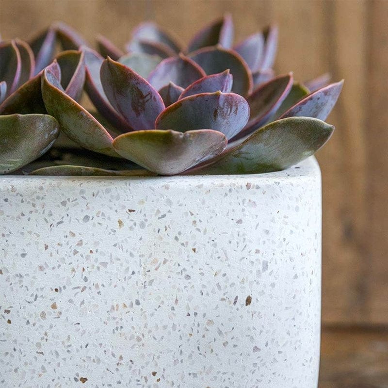 Geo Rectangular Footed Planter  Set of 4 | Fiber Cement Collection