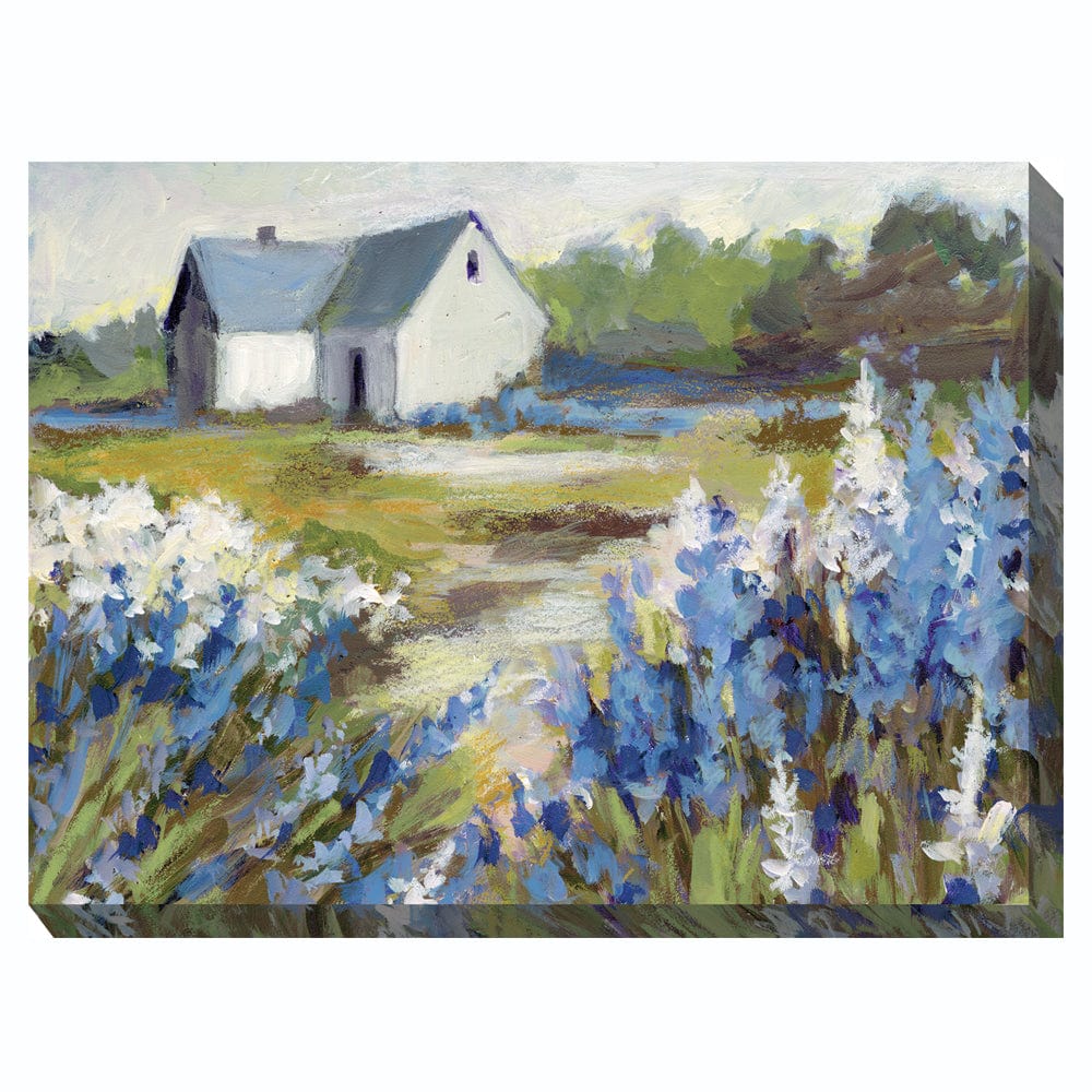 Meadow Blue Barn Outdoor Canvas Art - Outdoor Art Pros