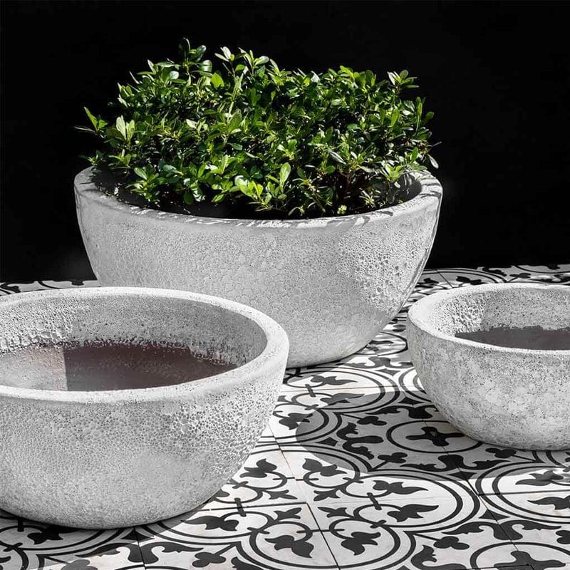 Mira Bowl Planter in White Coral Finish Set of 3