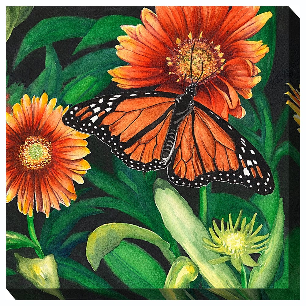 Monarch Outdoor Canvas Art - Outdoor Art Pros