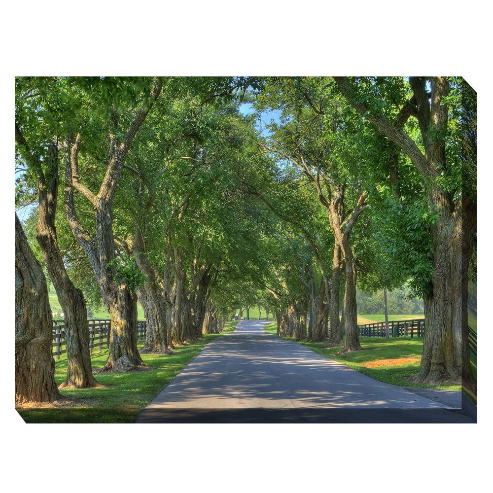 Country Lane Outdoor Canvas Art - Outdoor Art Pros