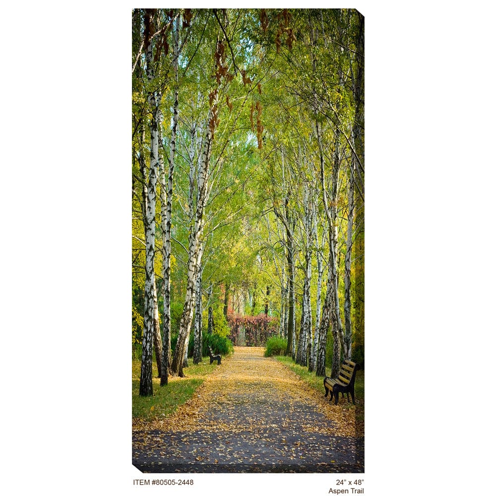 Aspen Trail #2 Outdoor Canvas Art - Outdoor Art Pros