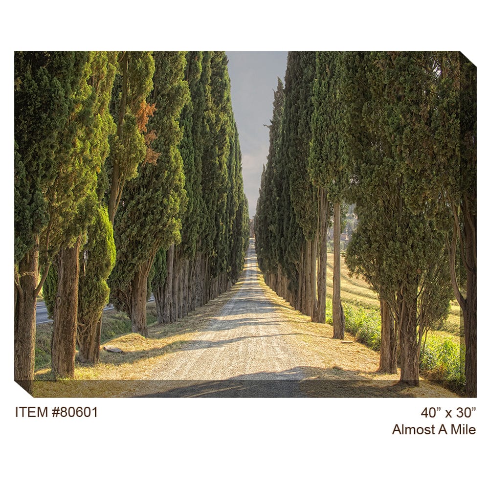 Almost a Mile Outdoor Canvas Art - Outdoor Art Pros