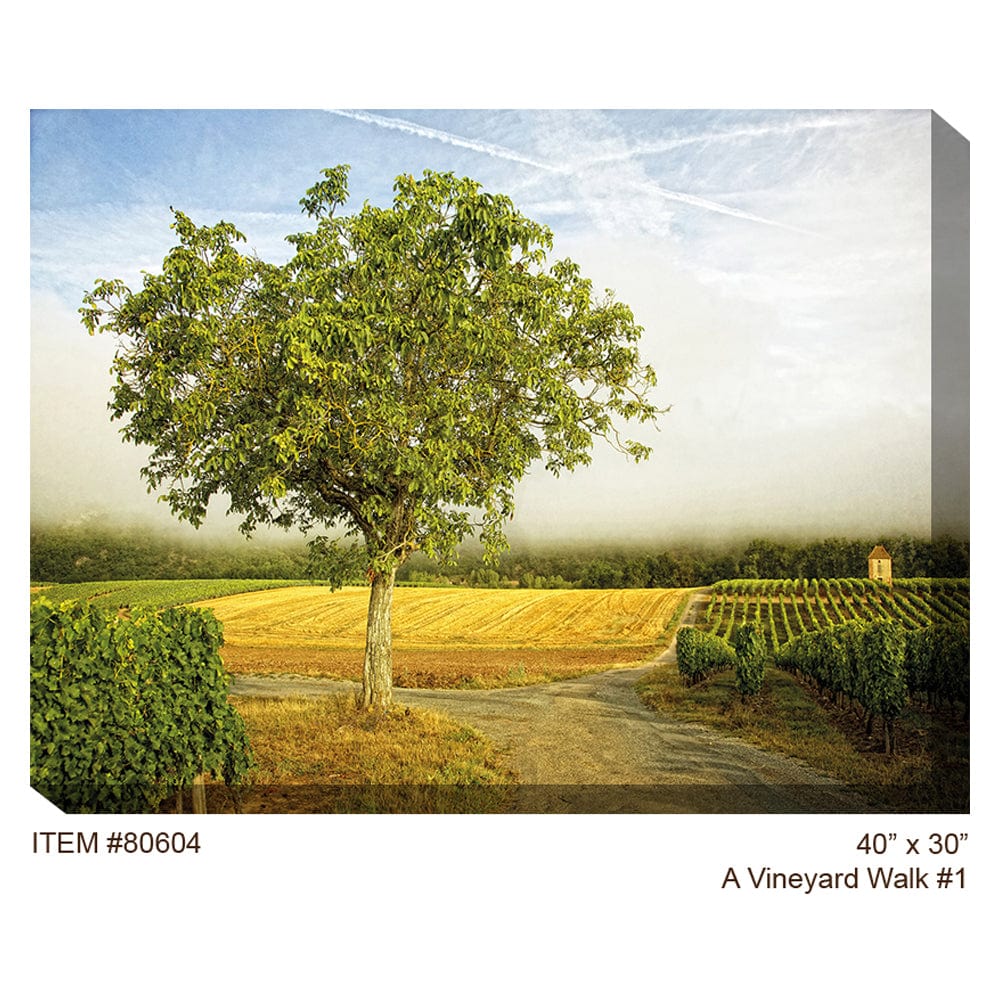 A Vineyard Walk #1 Outdoor Canvas Art - Outdoor Art Pros