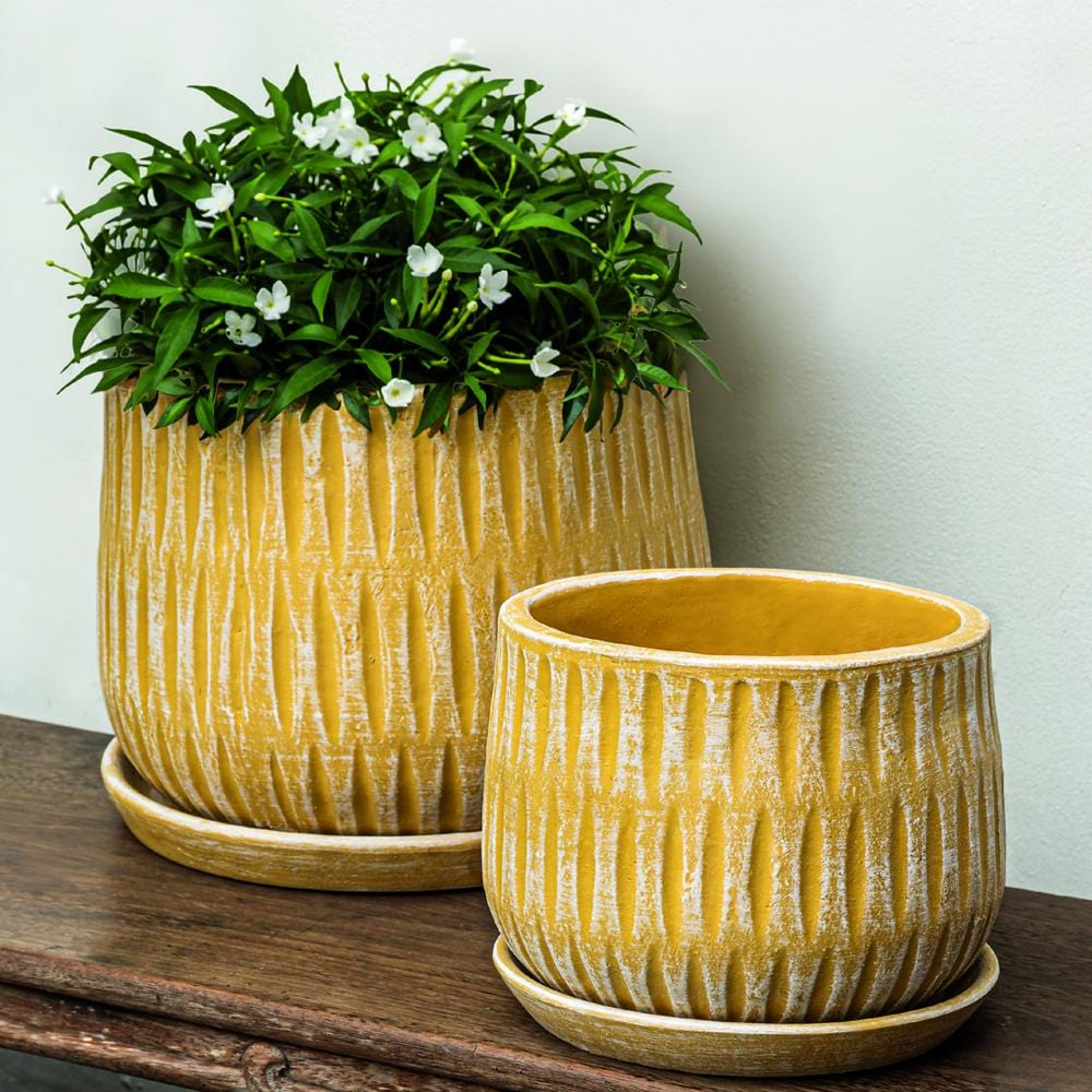 Parabola Large Round  | Cold Painted Terra Cotta Planter in Etched Yellow Finish