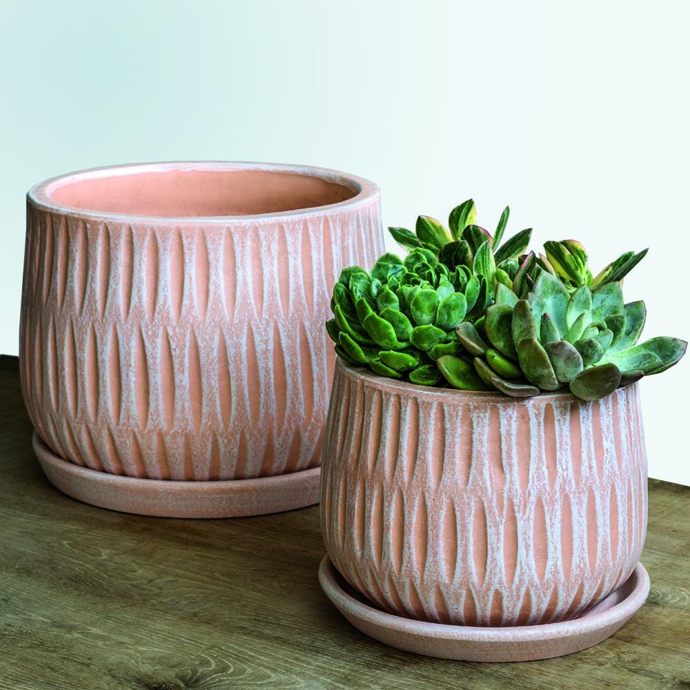 Parabola Large Round  | Cold Painted Terra Cotta Planter in Shell Pink Finish
