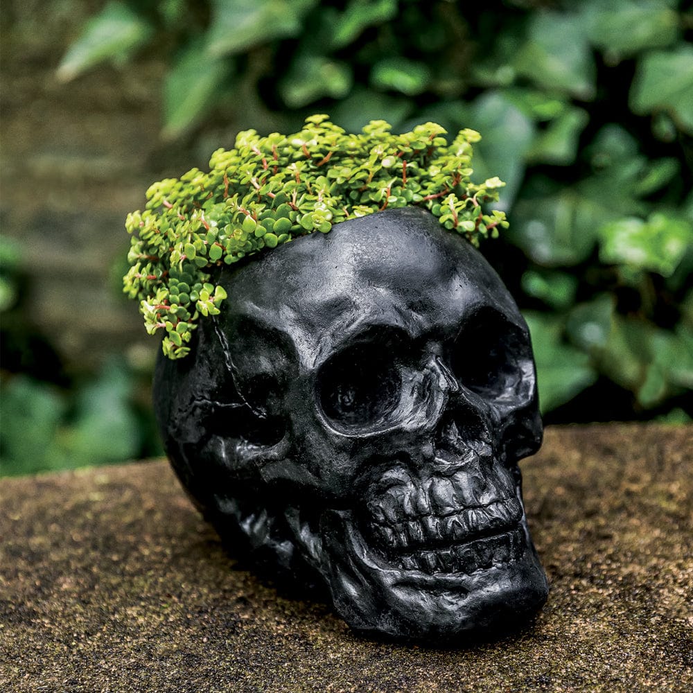 Cast Stone Skull Planter Statement Piece - Outdoor Art Pros