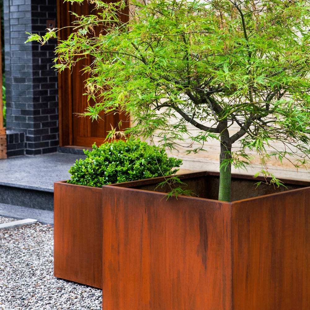 Steel Cube Planter Set of 2 | Lightweight Steel Collection