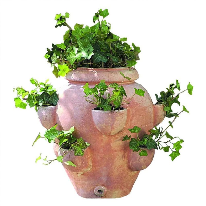 Tascandi Strawberry Jar Set of 2 in Terra Cotta Finish - Outdoor Art Pros