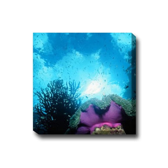 Underwater Sky Canvas Wall Art