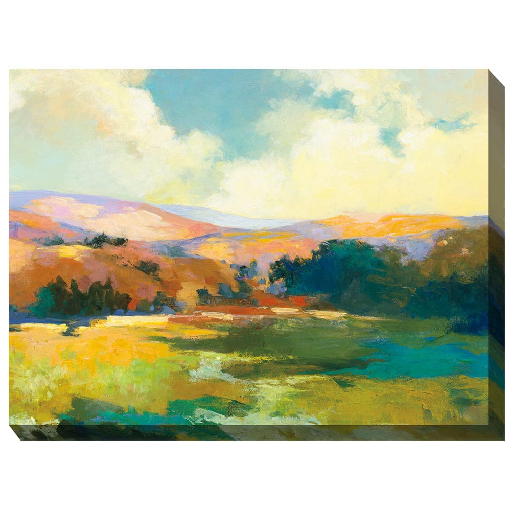 Valley of Light Outdoor Canvas Art - Outdoor Art Pros